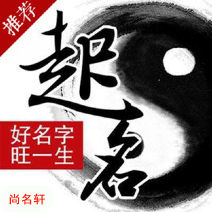 北辰宝宝起名