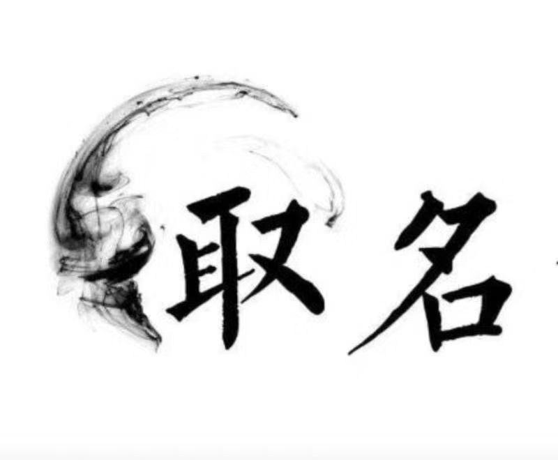  北辰宝宝取名 大师一对一人工起名